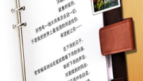 老板的私密日记,企业风云背后的真实故事